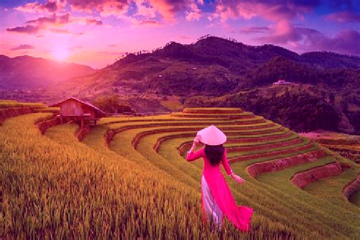 Eleanor, 35 — Escort in Mu Cang Chai, Vietnam