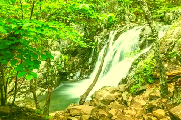 Eleanor, 35 — Escort in Shenandoah Farms, United States
