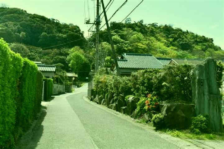 Eleanor, 36 — Escort in Kimitsu, Japan