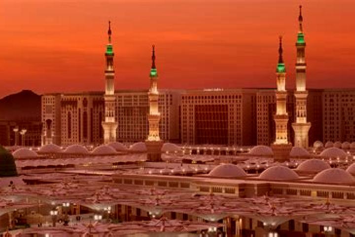 Eleanor, 36 — Escort in Medinah, United States
