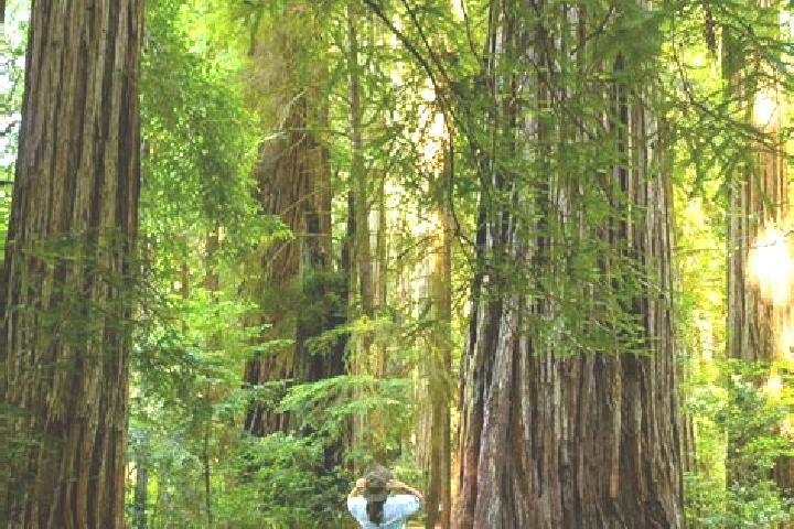 Eleanor, 36 — Escort in Redwood Park, Australia