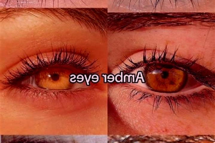 Eleanor, 37, a chestnut amber-eyed caucasian companion based in Katlabuh. Offering Domination, Girlfriend Experience, Prostate Massage. Available for incall ...