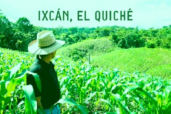 Eleanor, 37 — Escort in El Ixcan, Mexico