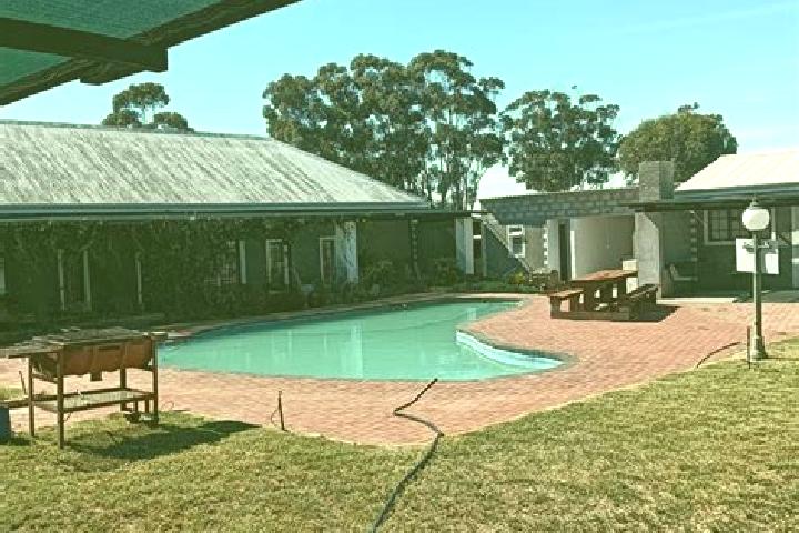Eleanor, 37 — Escort in Graafwater, South Africa