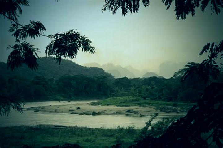 Eleanor, 37 — Escort in Mata de Platano, Honduras