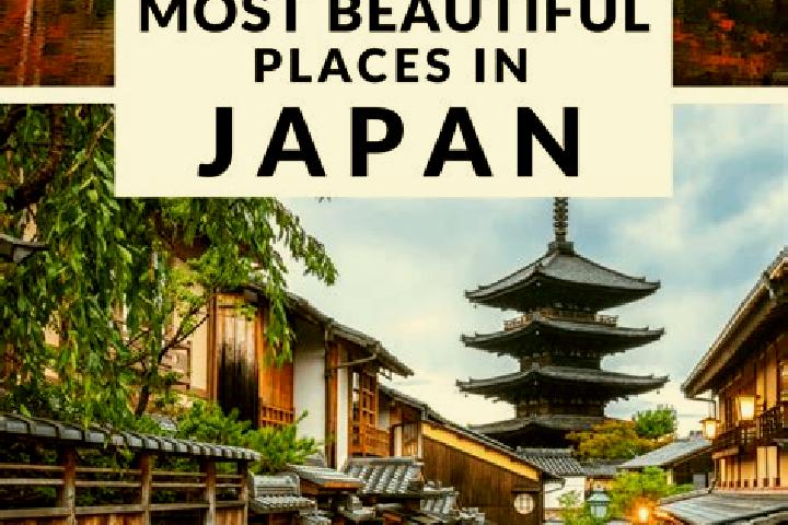 Eleanor, 37 — Escort in Negishicho, Japan