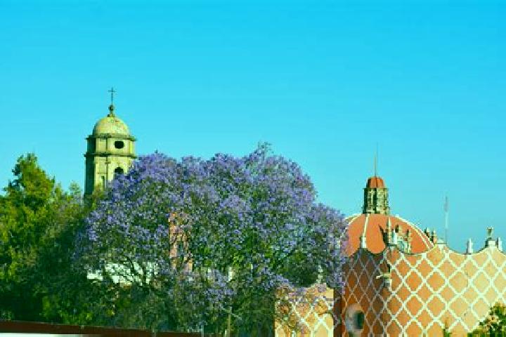 Eleanor, 37 — Escort in Tlahuac, Mexico