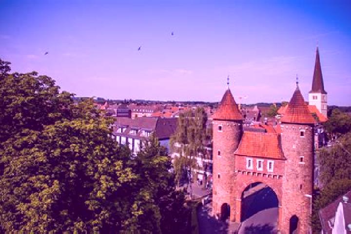 Eleanor, 38 — Escort in Duelmen, Germany