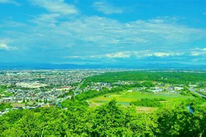 Eleanor, 38 — Escort in Pippu, Japan