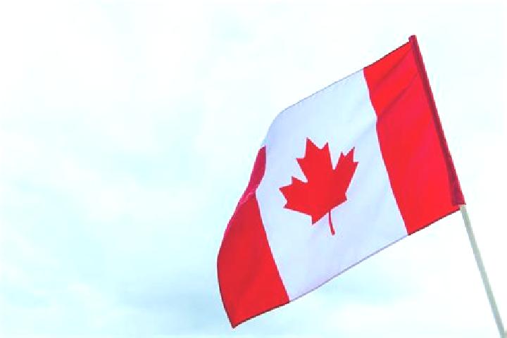 Eleanor, 39 — Escort in Bell s Turn, Canada