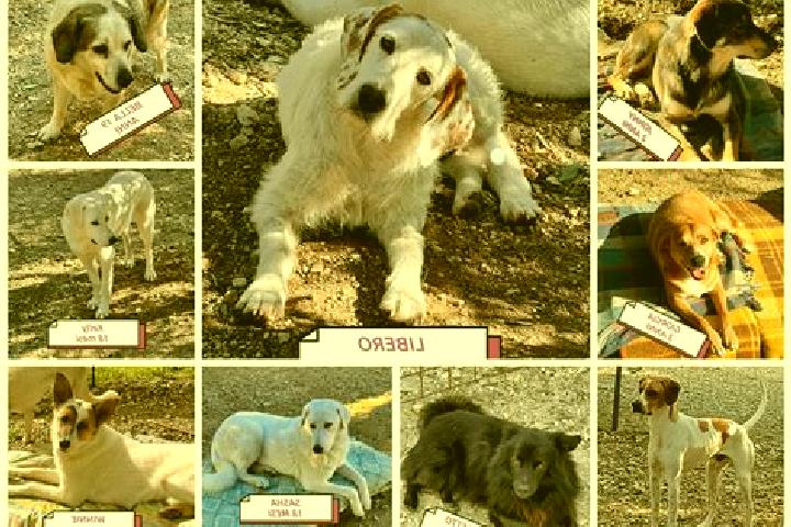 Eleanor, 39 — Escort in Lomo de Arico, Spain