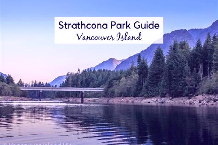 Eleanor, 39 — Escort in Strathcona Park, Canada