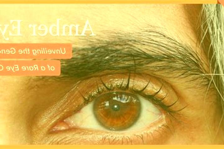 Elizabeth, 20, a black amber-eyed caribbean companion based in Nagri. Offering Domination, Deep French Kissing, 69, Duos. Available for incall and outcall, o...