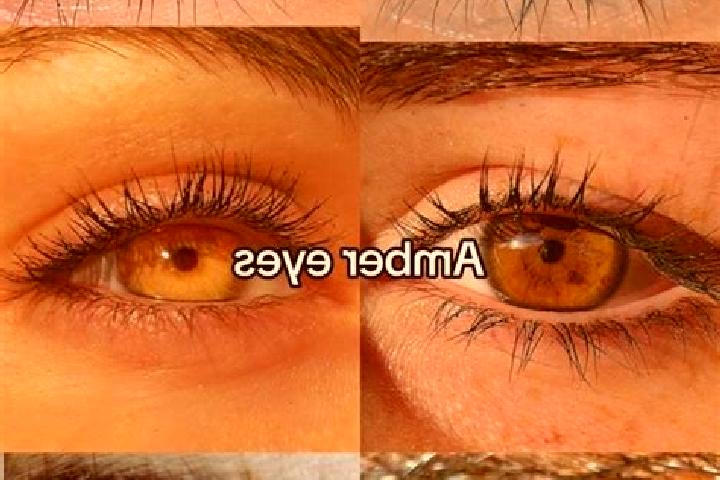 Elizabeth, 20, a chestnut amber-eyed ebony companion based in Steiningen. Offering 69, CIM, Striptease, Girlfriend Experience. Available for incall and outca...