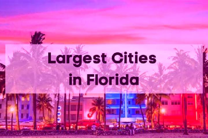 Elizabeth, 20 — Escort in Florida City, United States