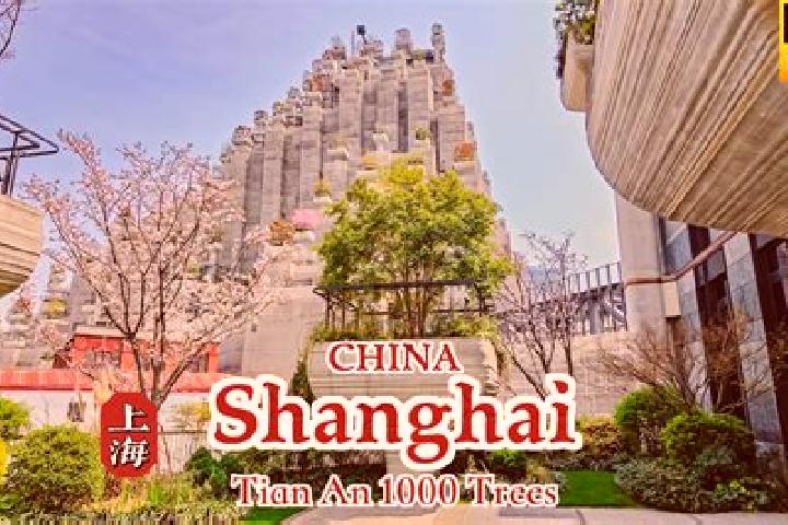Elizabeth, 20 — Escort in Qian an, China