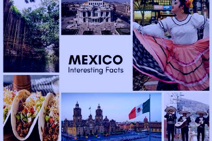 Elizabeth, 20 — Escort in Tlatepexe, Mexico