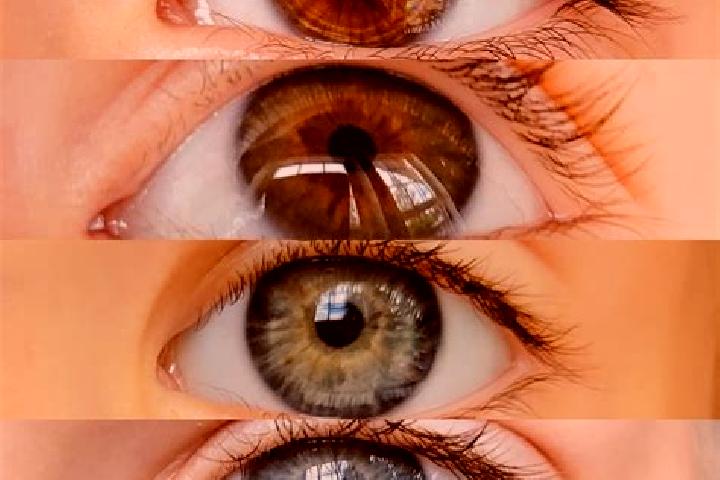Elizabeth, 21, a chestnut dark-eyed mixed companion based in Flattach. Offering Tantra, Domination, Couples. Available for incall and outcall, overnight book...