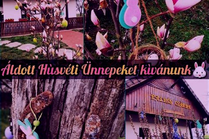 Elizabeth, 21 — Escort in Ajka, Hungary