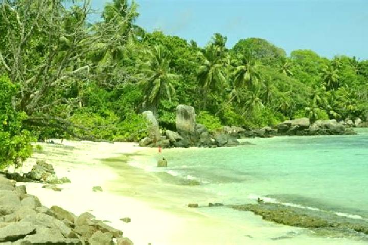 Elizabeth, 21 — Escort in Anse aux Pins, Seychelles