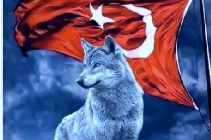 Elizabeth, 21 — Escort in Oguzlar, Turkey