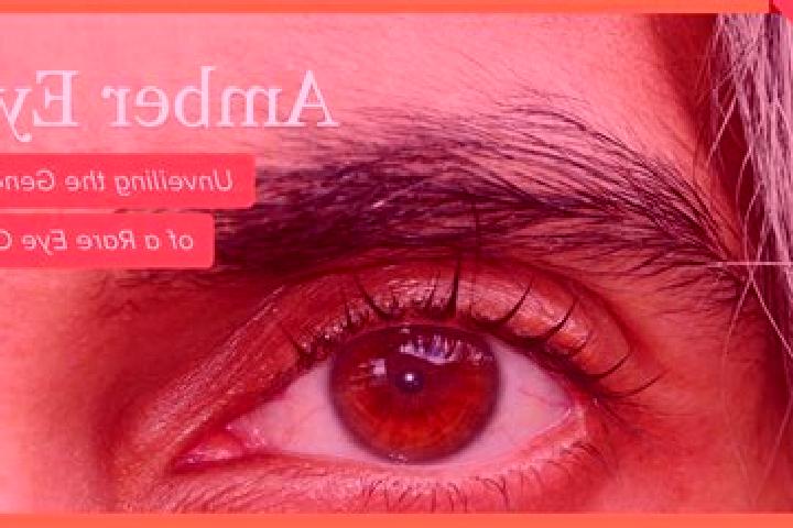 Elizabeth, 22, a red amber-eyed mediterranean companion based in Chaiten. Offering A-Level, OWO, GFE, Prostate Massage, Domination. Available for incall and ...