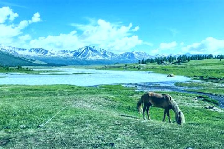 Elizabeth, 22 — Escort in Hashaat, Mongolia