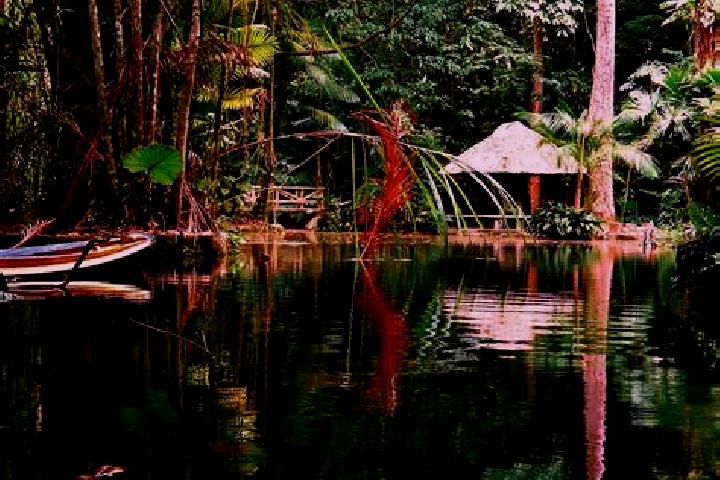 Elizabeth, 22 — Escort in Lago dos Rodrigues, Brazil