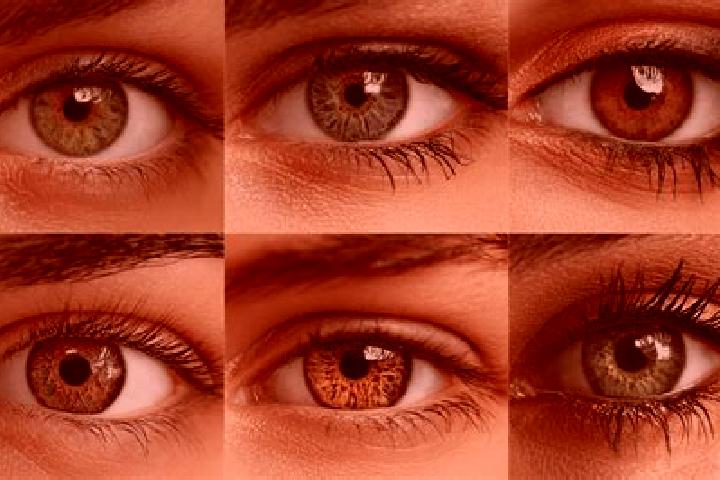 Elizabeth, 23, a red hazel-eyed caucasian companion based in Nyons. Offering Duos, Overnight, OWO, Domination. Available for incall and outcall, day and even...