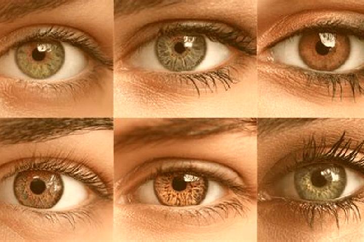 Elizabeth, 23, a red hazel-eyed middle eastern companion based in A Ngo. Offering OWO, Roleplay, BDSM, Overnight. Available for incall and outcall, overnight...