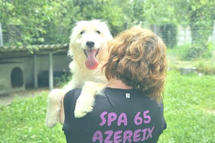 Elizabeth, 23 — Escort in Azereix, France