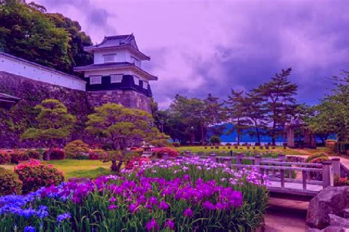 Elizabeth, 23 — Escort in Kushima, Japan