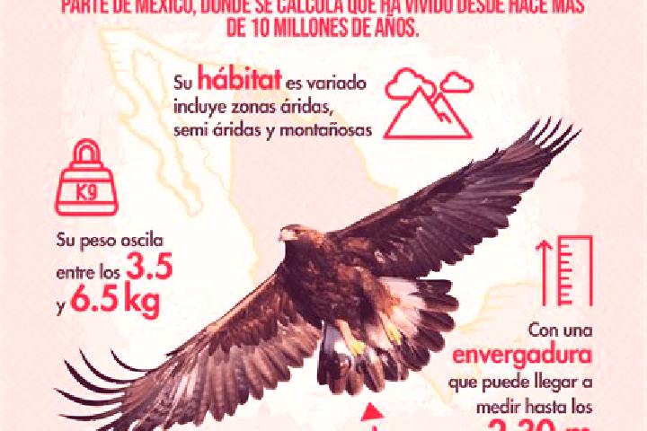 Elizabeth, 23 — Escort in Monte Aguila, Mexico