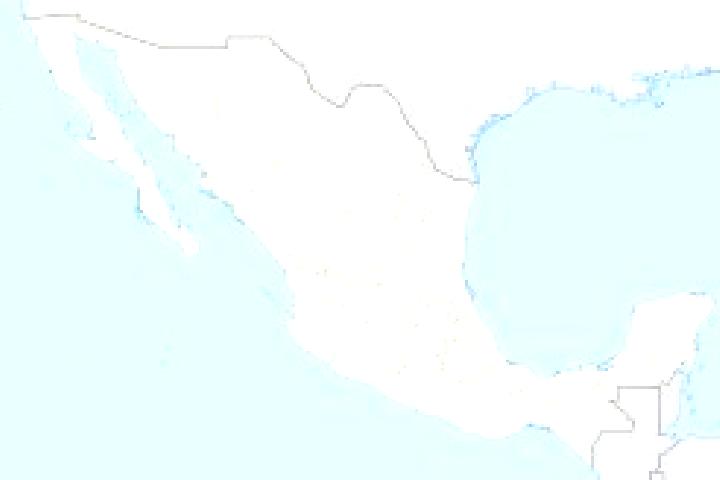Elizabeth, 23 — Escort in Nuevo Mezcalapa, Mexico