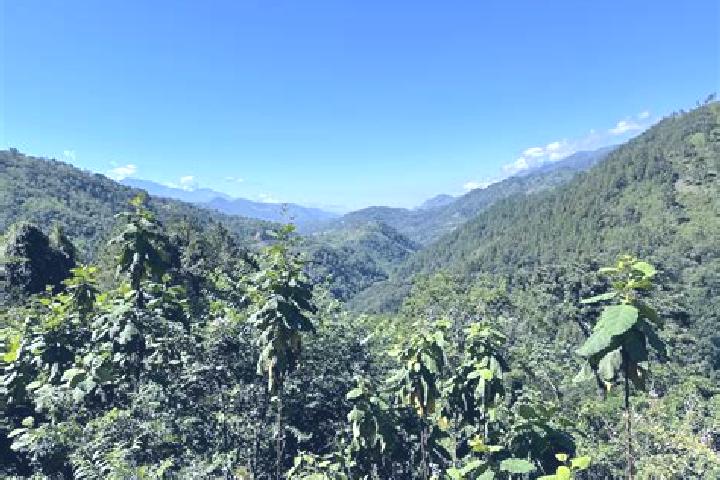 Elizabeth, 24 — Escort in Senahu, Guatemala