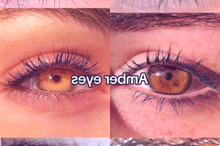 Elizabeth, 25, a brunette amber-eyed middle eastern companion based in Chatsworth. Offering Tantra, Erotic Massage, Girlfriend Experience, Dinner Date. Avail...