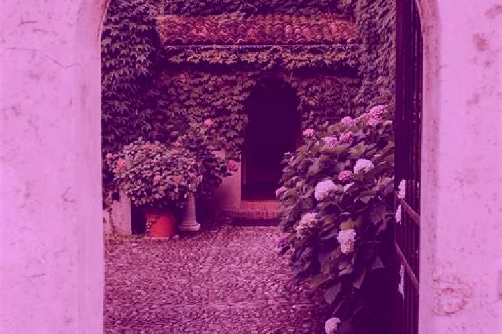 Elizabeth, 25 — Escort in San Liberale, Italy