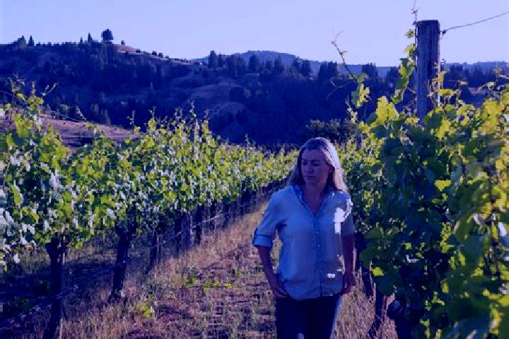 Elizabeth, 25 — Escort in Vineyard, United States