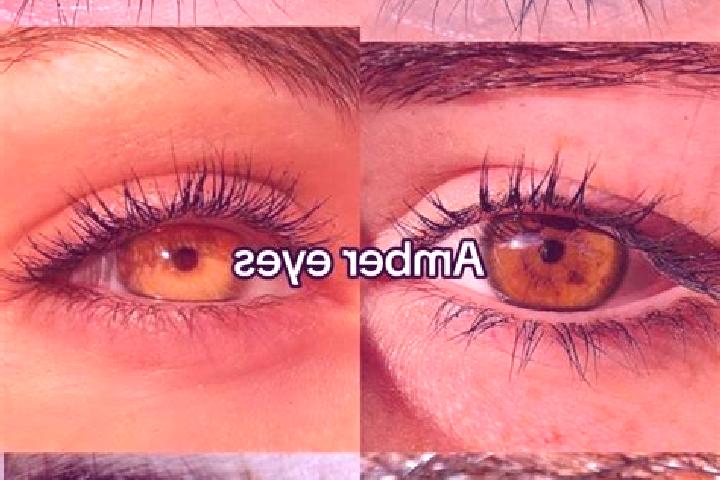 Elizabeth, 27, a brunette amber-eyed asian companion based in CERESO (Para Varones y Mujeres). Offering Travel Companion, CIM, GFE, Domination, Fetish. Avail...