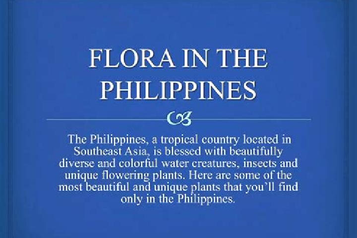 Elizabeth, 27 — Escort in Flora, Philippines