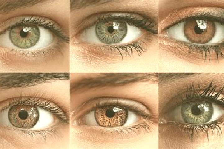 Elizabeth, 28, a chestnut hazel-eyed middle eastern companion based in Pabean. Offering OWO, Domination, Overnight. Available for incall and outcall, day and...