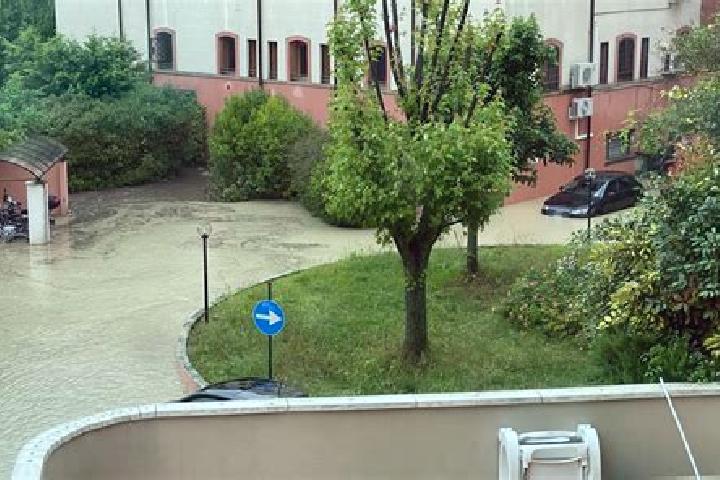Elizabeth, 28 — Escort in Basiano, Italy
