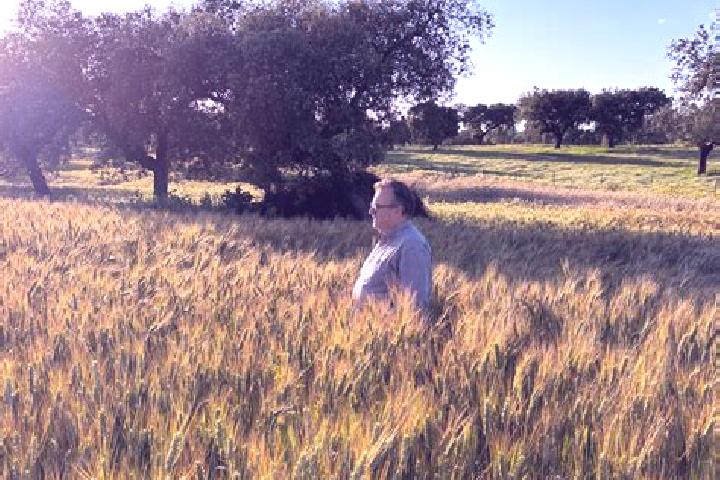 Elizabeth, 28 — Escort in Esparragalejo, Spain