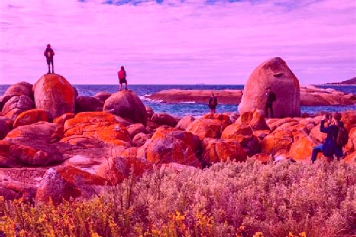 Elizabeth, 28 — Escort in Flinders, Australia