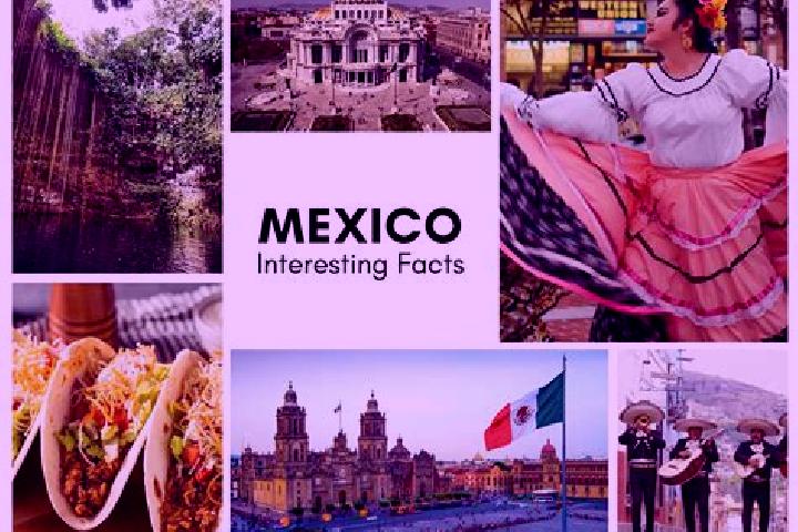 Elizabeth, 28 — Escort in Hernandez, Mexico