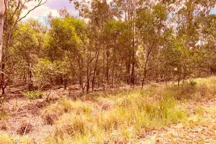 Elizabeth, 28 — Escort in Wattle Camp, Australia