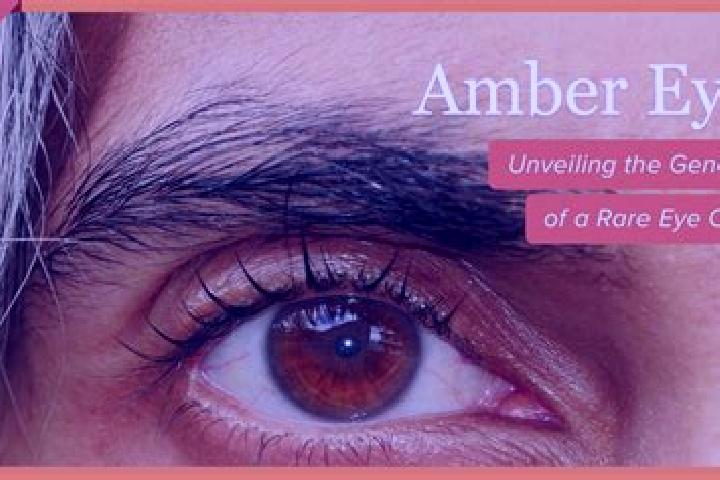 Elizabeth, 29, a black amber-eyed caucasian companion based in Little Neck. Offering OWO, Striptease, Couples, Domination, Fetish. Available for incall and o...