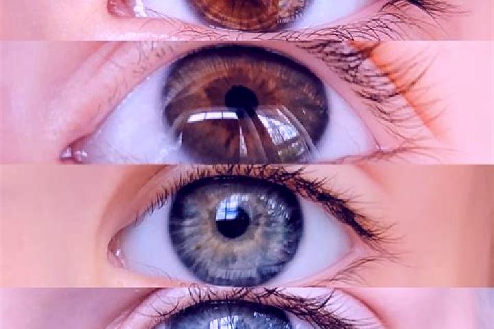 Elizabeth, 29, a chestnut hazel-eyed mixed companion based in Achel. Offering Domination, OWO, Erotic Massage. Available for incall and outcall, day and even...