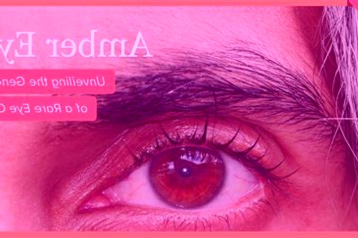 Elizabeth, 29, a red amber-eyed middle eastern companion based in Talamantes. Offering Massage, A-Level, Tantra, GFE. Available for incall and outcall, overn...