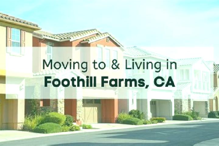 Elizabeth, 29 — Escort in Foothill Farms, United States